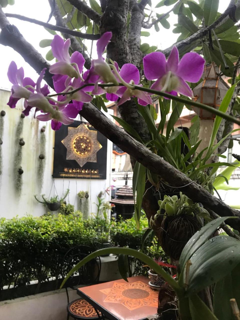 Wannamas Chiangmai Boutique House Hotel Chiang Mai Exterior foto